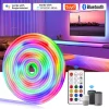 LED Neon Strip Light DC12V RGBIC LED Strip IP67 Waterproof Dimmable 96LEDs/m RGB Chasing Flexible Tape Remote/Bluetooth/WiFi